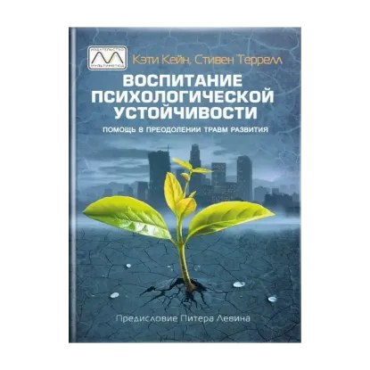 Зображення Воспитание психологической устойчивости. Помощь в преодолении травм развития