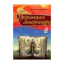 Зображення Українська література. Підручник. 8 клас