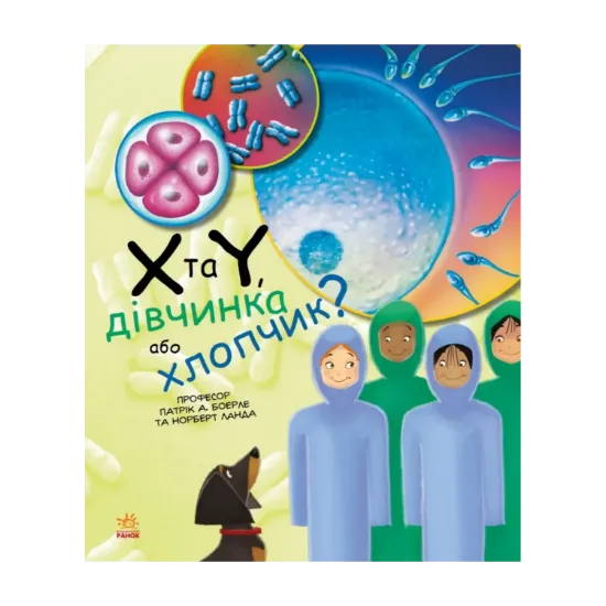 Зображення Х та Y, дівчинка або хлопчик?