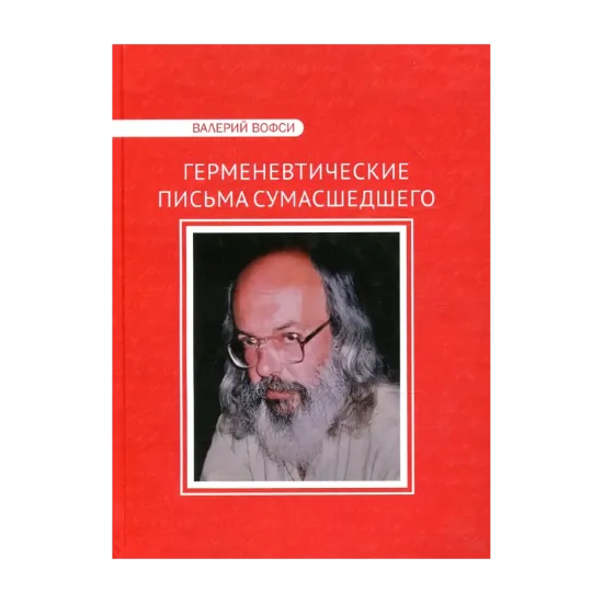 Зображення Герменевтические письма сумасшедшего. Эпистолярный роман