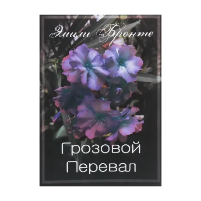 Зображення Грозовой Перевал