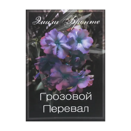 Зображення Грозовой Перевал