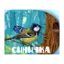 Зображення Синичка