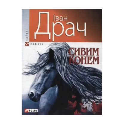 Зображення Сивим конем