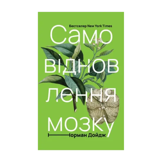 Зображення Самовідновлення мозку