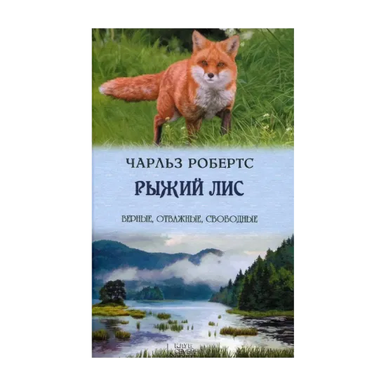 Зображення Рыжий лис