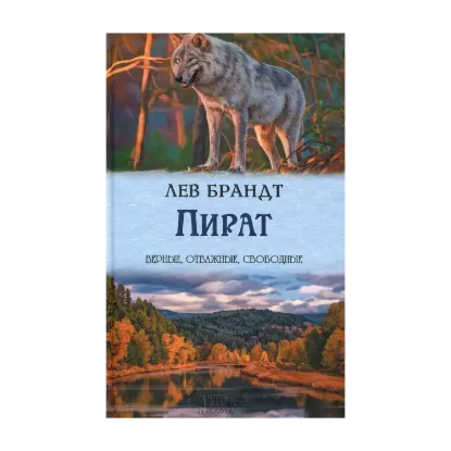 Зображення Пират