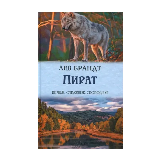 Зображення Пират