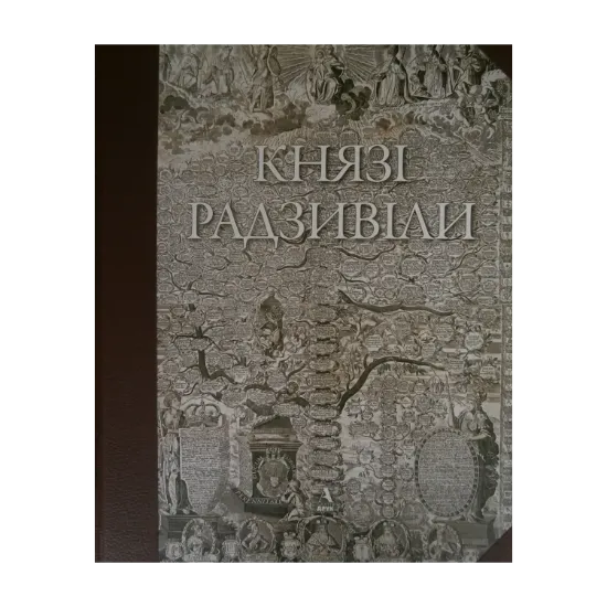 Зображення Князі Радзивіли