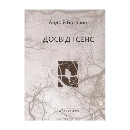 Зображення Досвід і сенс