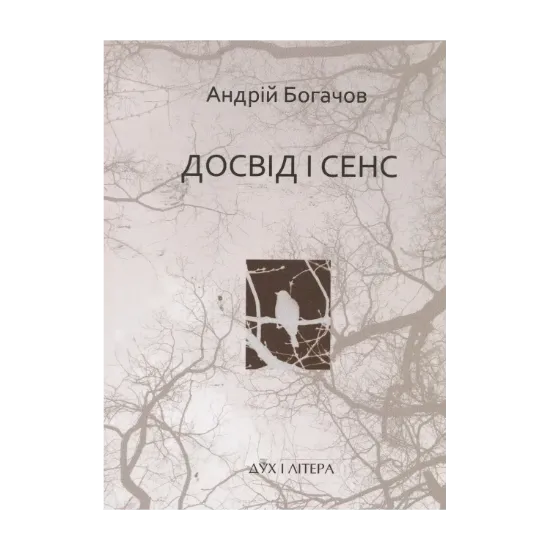 Зображення Досвід і сенс