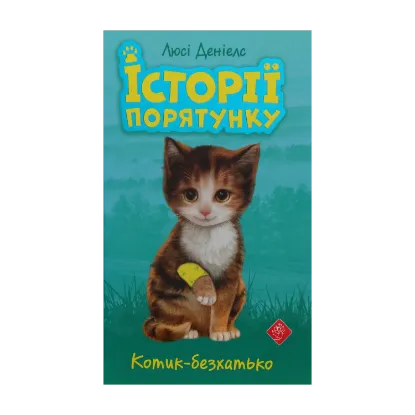 Зображення Історії порятунку. Котик-безхатько