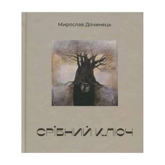 Зображення Срібний ключ