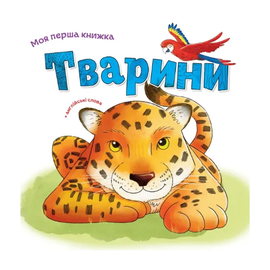 Зображення Тварини