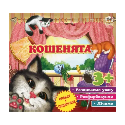 Зображення Кошенята